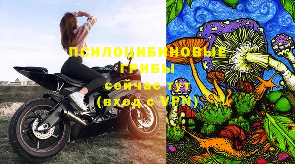ГАЛЛЮЦИНОГЕННЫЕ ГРИБЫ Алексеевка